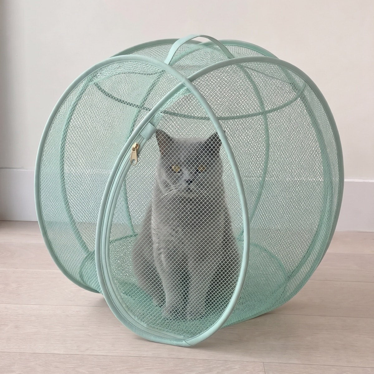 British shorthair sitting inside the pod indoors to show how much room there is
